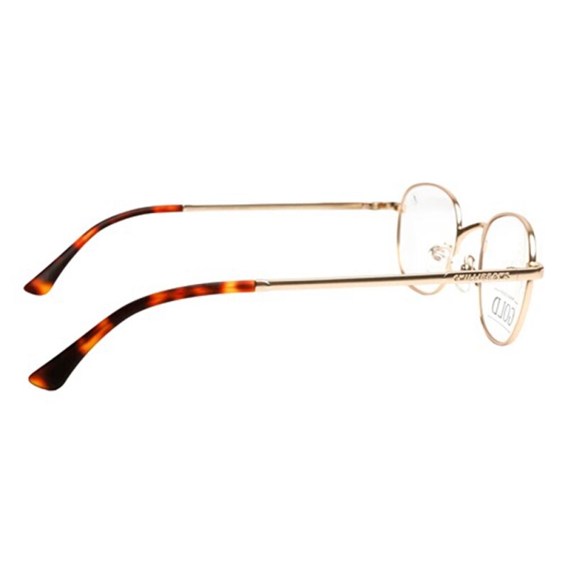 Lentes de Vista Chilli Beans Redondo Dorado/mate