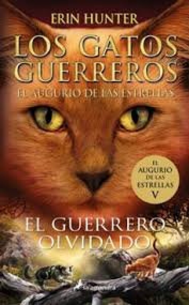 LOS GATOS GUERREROS EL AUGURIO DE LAS ESTRELLAS - EL GUERRERO OLVIDADO 