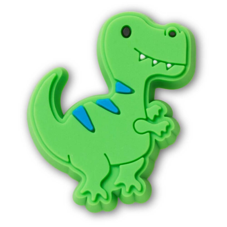 Cartoon T Rex Multicolor