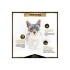 Pro Plan Gato Urinary 3 kg | Salud Urinaria y Bienestar Pro Plan Gato Urinary 3 kg | Salud Urinaria y Bienestar