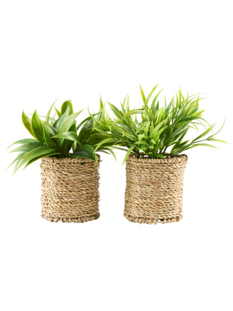 Planta artificial BERTRAM Ø8xA18cm surtidas Planta artificial BERTRAM Ø8xA18cm surtidas