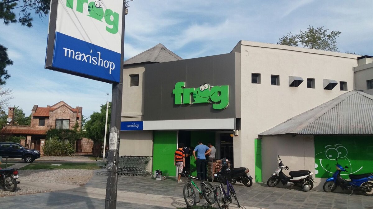 Frog 10