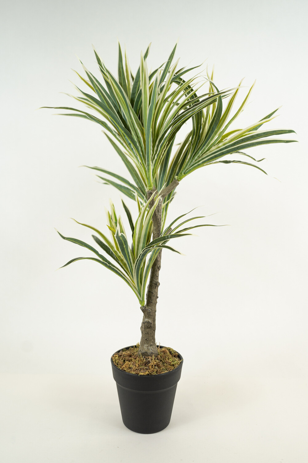 Planta White Grass 70cm Color Unico