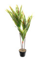 Planta Dracaena 100cm Color Unico