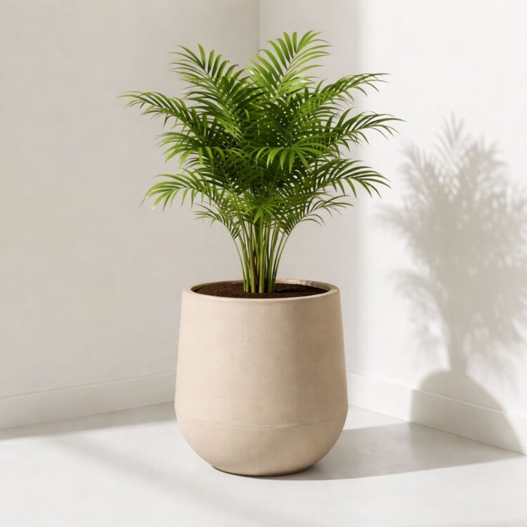 MACETA GOTA DECORATIVA 20 LITROS BEIGE MACETA GOTA DECORATIVA 20 LITROS BEIGE