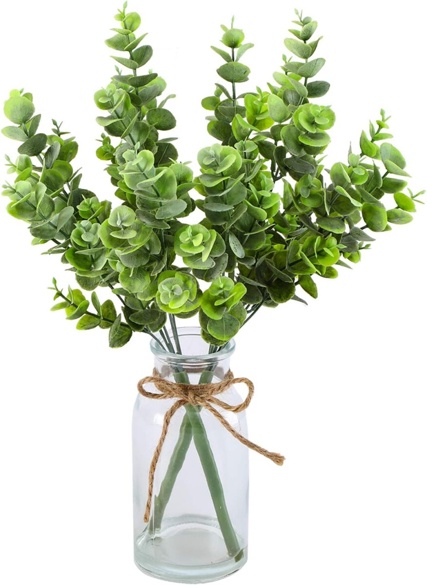 Rama de Eucalipto 5 puntas 