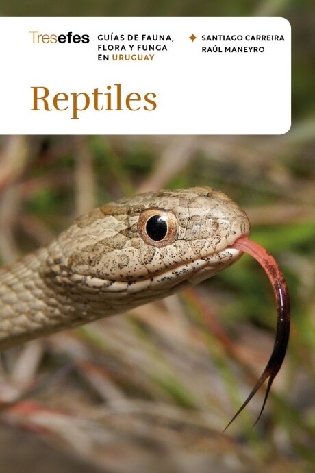 REPTILES REPTILES