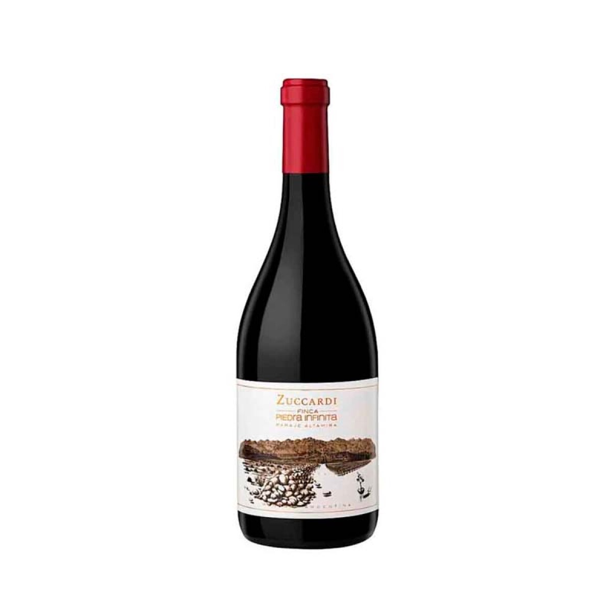 Vino Zuccardi Piedra Infinita Malbec 2019 - 750 ml 