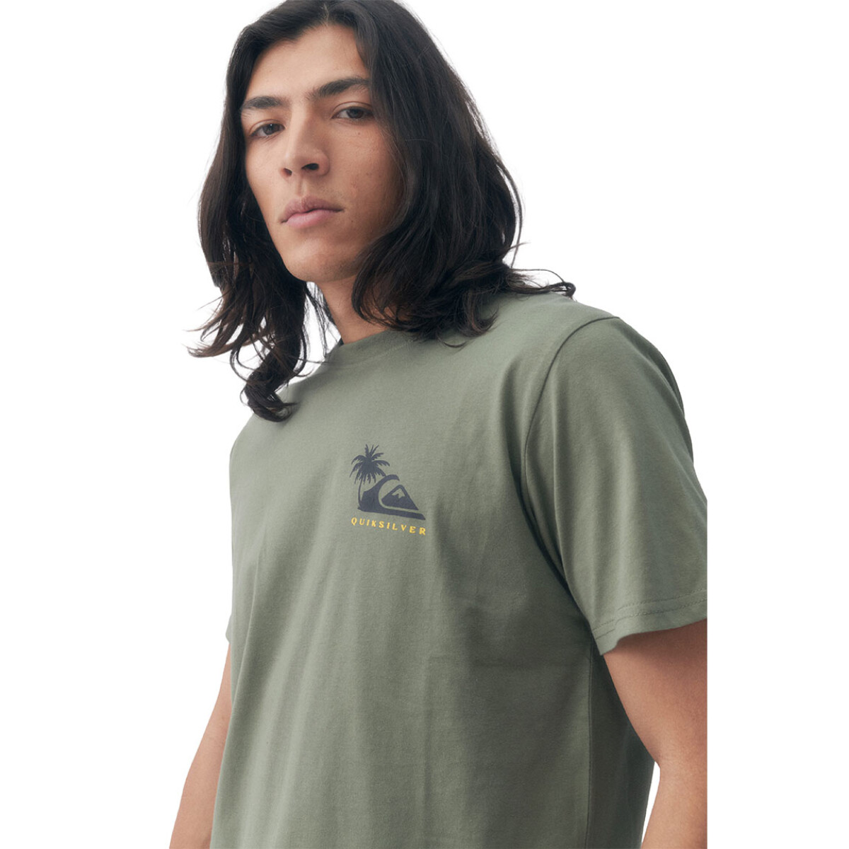 Remera Hombre Quiksilver Palm Island - Verde 
