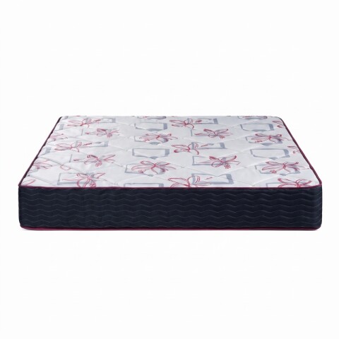 Colchon TERMINUS Espuma Reversible - 2 Plazas 140 x 190 x 18 - Hasta 120kg Colchon TERMINUS Espuma Reversible - 2 Plazas 140 x 190 x 18 - Hasta 120kg