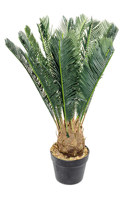 Planta Falasa Palmera 60cm Color Unico