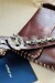 Strap Bag Chocolate
