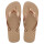 Havaianas Top Calzado Chancleta Ojota Sandalia Playa Rosa Gold