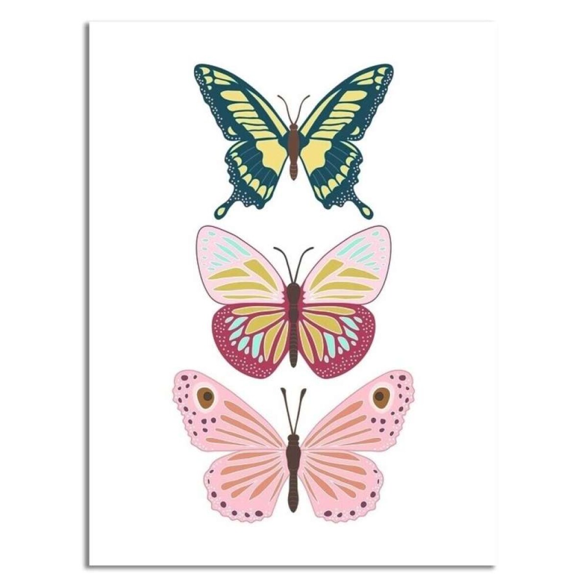 Cuadro Canvas 30X40Cm Mariposas 2 