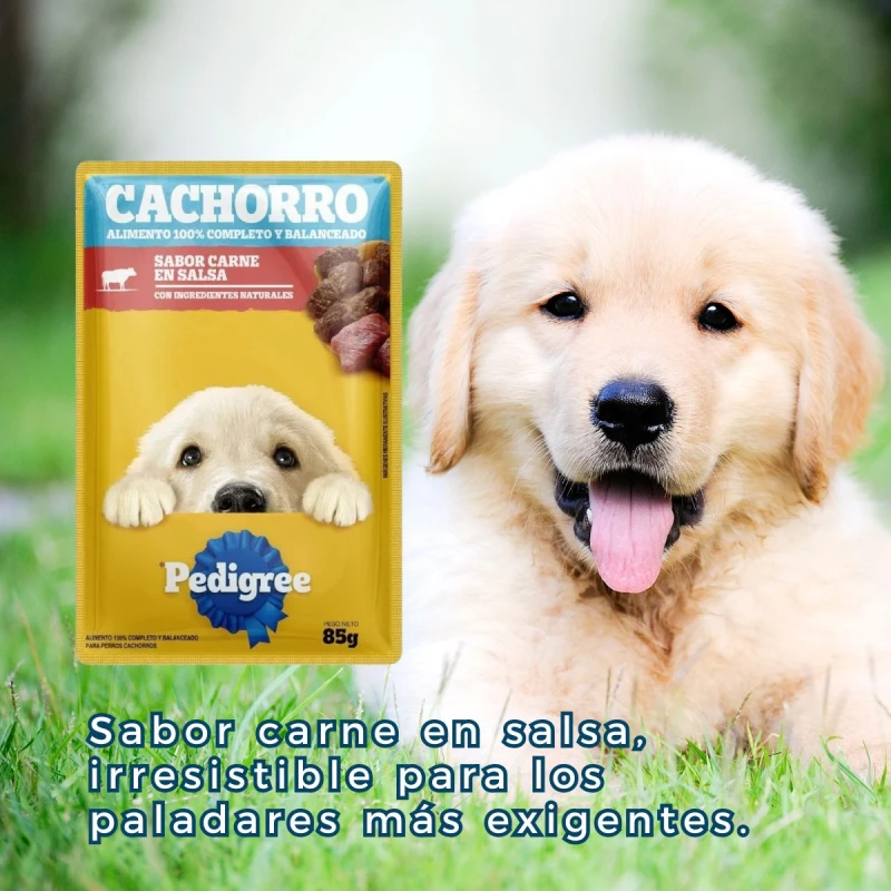 PEDIGREE EN SALSA CACHORRO 85 GRAMOS PEDIGREE EN SALSA CACHORRO 85 GRAMOS