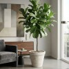 MACETERO PLAST BEIGE 80CM Unica