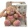 Set Osito de Peluche y Manta Polar Infantil ROSA-VIEJO