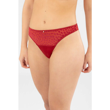 Colaless mystic Rojo