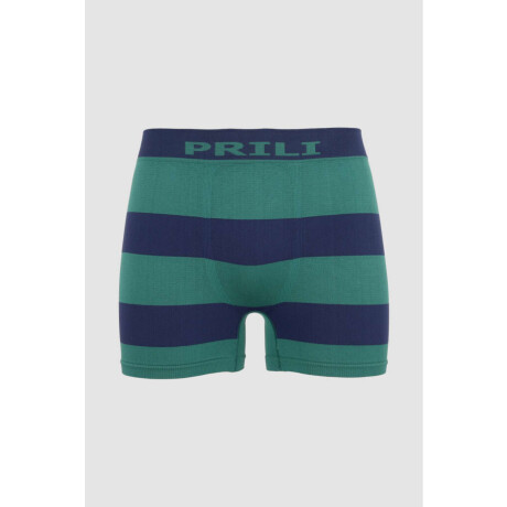 Boxer galés Azul prusia