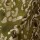 PANTALON NUCCIA Pistacho