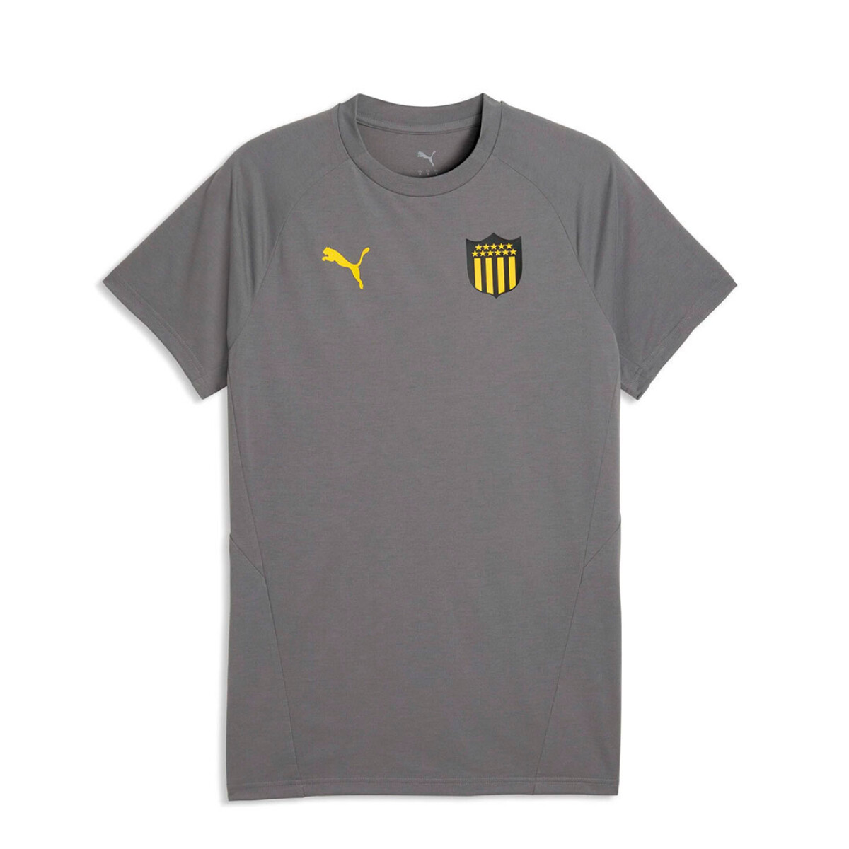 Remera de Hombre Puma Peñarol Evostripe Tee - Gris - Amarillo 