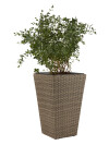Maceta BLOMMOR A31xL31xA50 nat Maceta BLOMMOR A31xL31xA50 nat