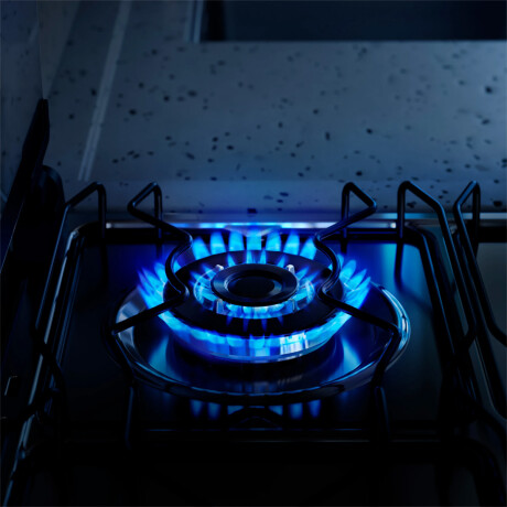 Cocina a Gas Electrolux FE4TC 4 Hornallas Gris