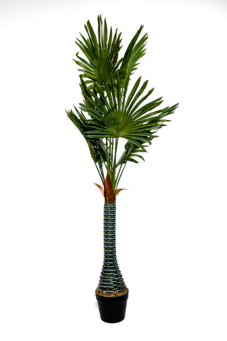 Planta Palmera Abanico 120cm Color Unico