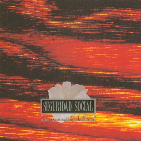 Seguridad Social Que No Se Extinga La Llama Cd+ - Vinilo Seguridad Social Que No Se Extinga La Llama Cd+ - Vinilo