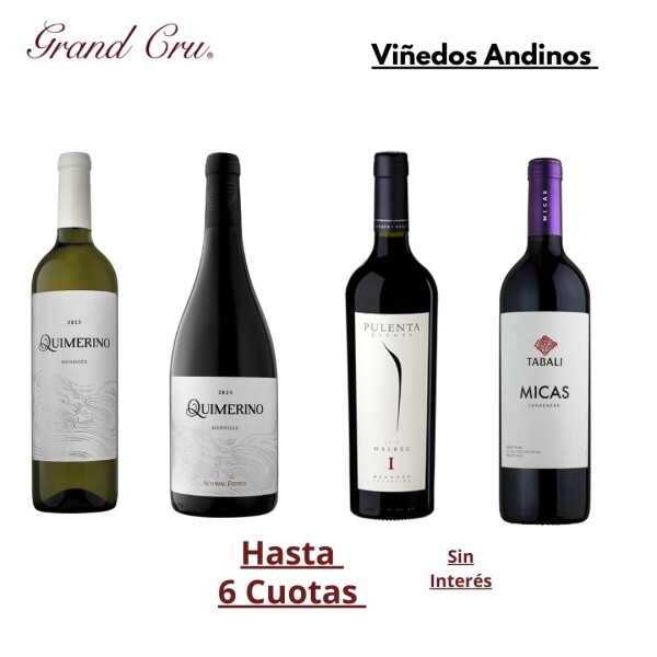 Viñedos Andinos Viñedos Andinos