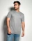 Remera Timo Gris