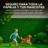 Jardin Vertical Panel Pasto Artificial 60x40 X20 Unidades Jardin Vertical Panel Pasto Artificial 60x40 X20 Unidades