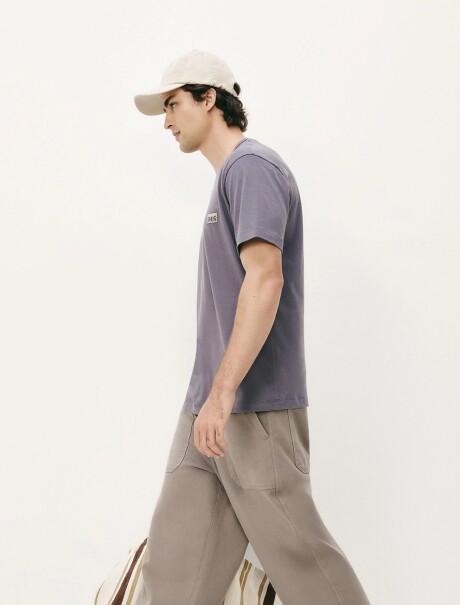 CAMISETA MANGA CORTA CON ESTAMPA GRIS