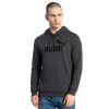 Puma Ess Big Logo Hoodie Tr Gris Oscuro