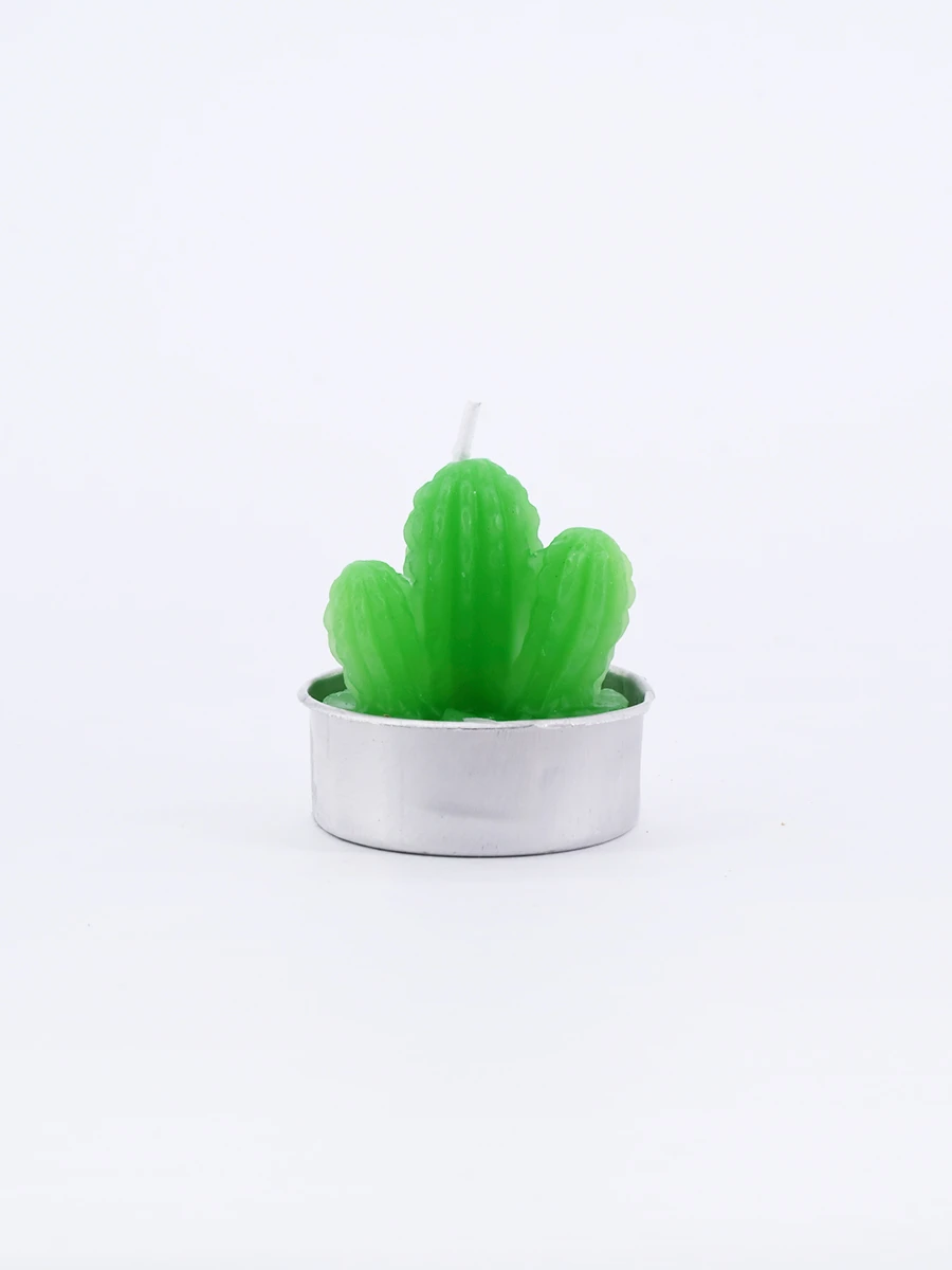 SUCULENTA VELA VARIOS CACTUS - VERDE 