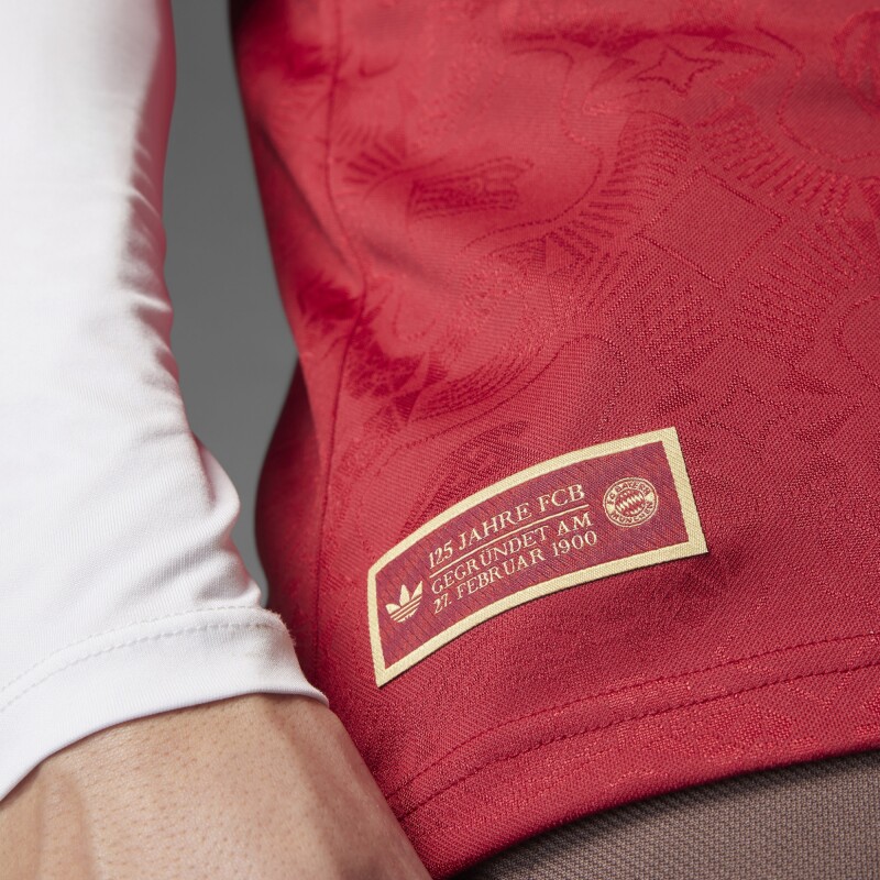 CAMISETA ANIVERSARIO FC BAYERN Gray