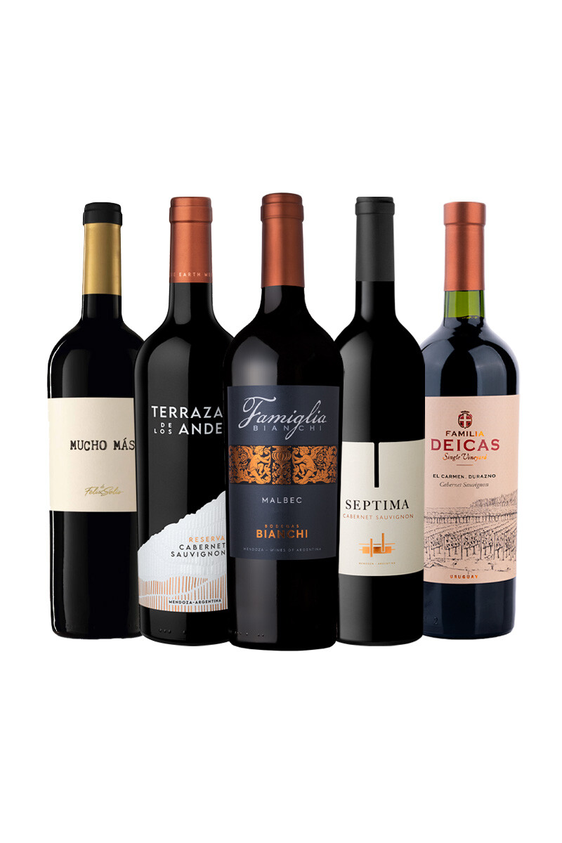Pack Bacán Selección x5 vinos Elegidos del Mes 