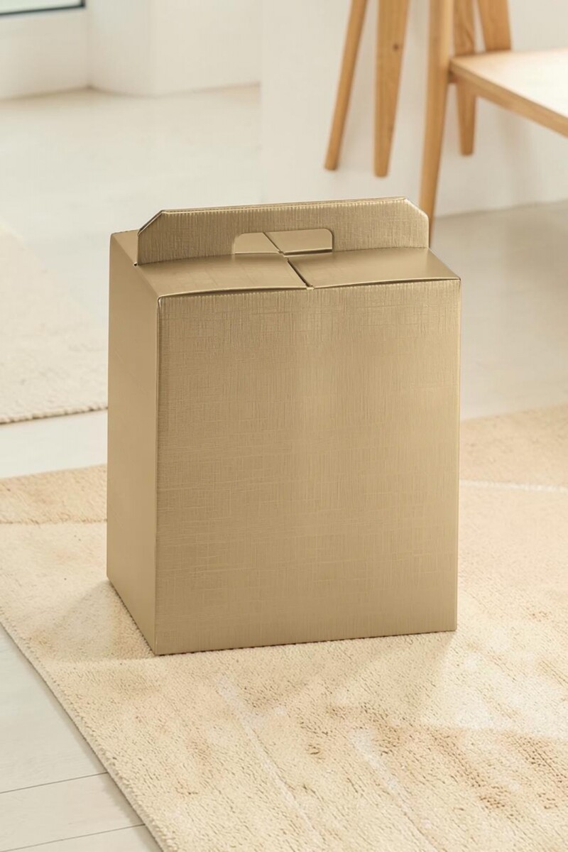 Caja Rígida Premium 43X24X34,5 cm - 1167 - SETA ORO 