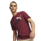 Remera de Hombre Puma Essentials 2 Colour Bordó