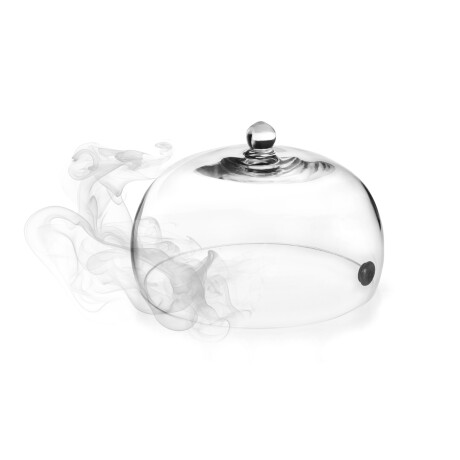 Campana Ahumadora 20 x 12 cm Campana Ahumadora 20 x 12 cm