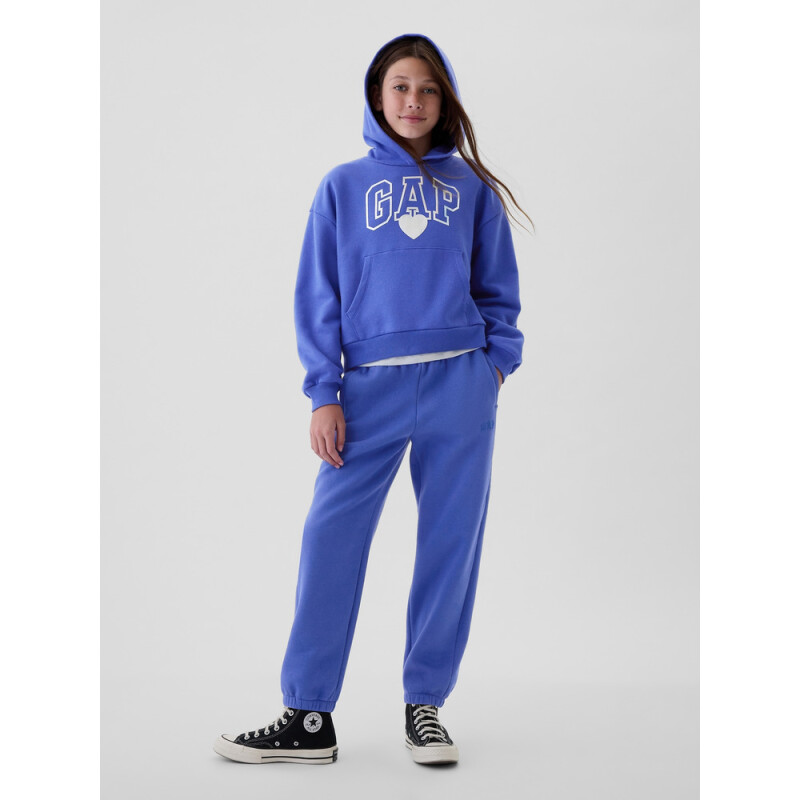 FA24 LOGO PO HOODIE MATISSE BLUE