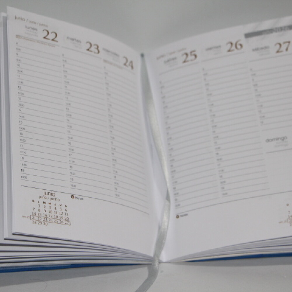 AGENDA REMEMBER FORUM FIR.1301 COLOR BORDEAUX