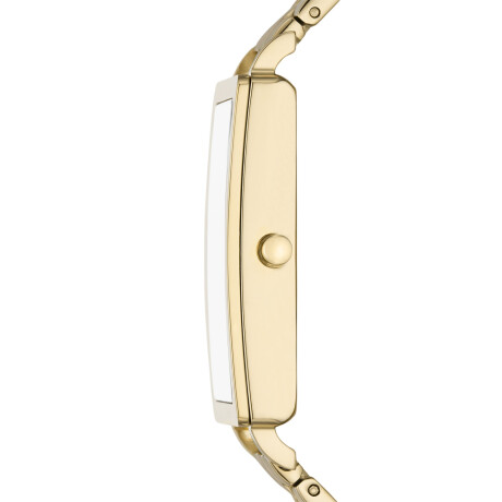 Reloj Skagen Clasico Acero Inoxidable Oro 0