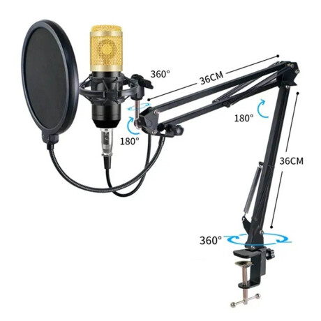 Set Micrófono Completo Estudio Grabación Podcast Pro Dorado