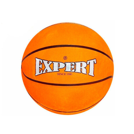 Pelota De Basketball Expert Nº7 De Goma Básquetbol Pel006003