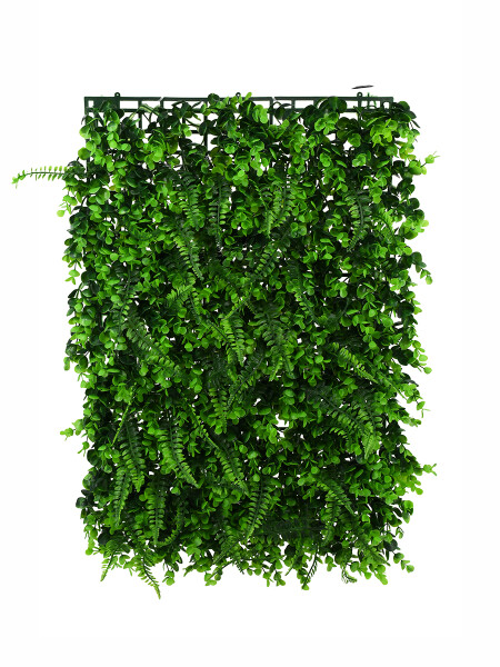 JARDIN VERTICAL HELECHO VERDE