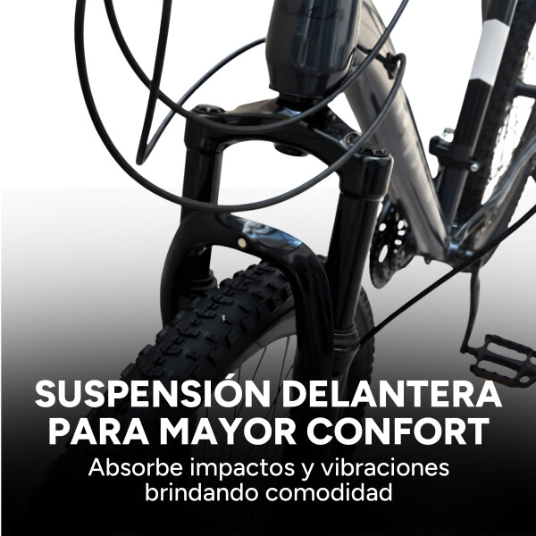 Bicicleta Kajla Montaña Mtb Rod 26 Frenos De Disco 21 Veloc Color Gris
