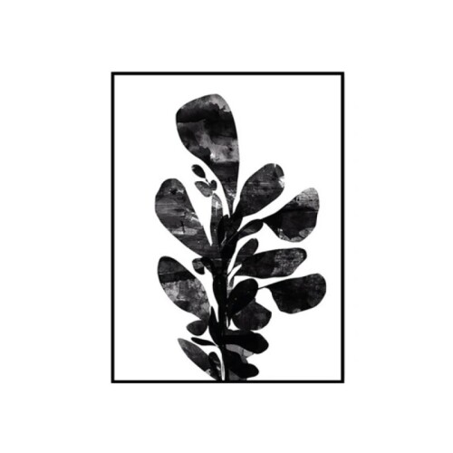 Cuadro Cancas 30x40cm - Rama Cuadro Cancas 30x40cm - Rama