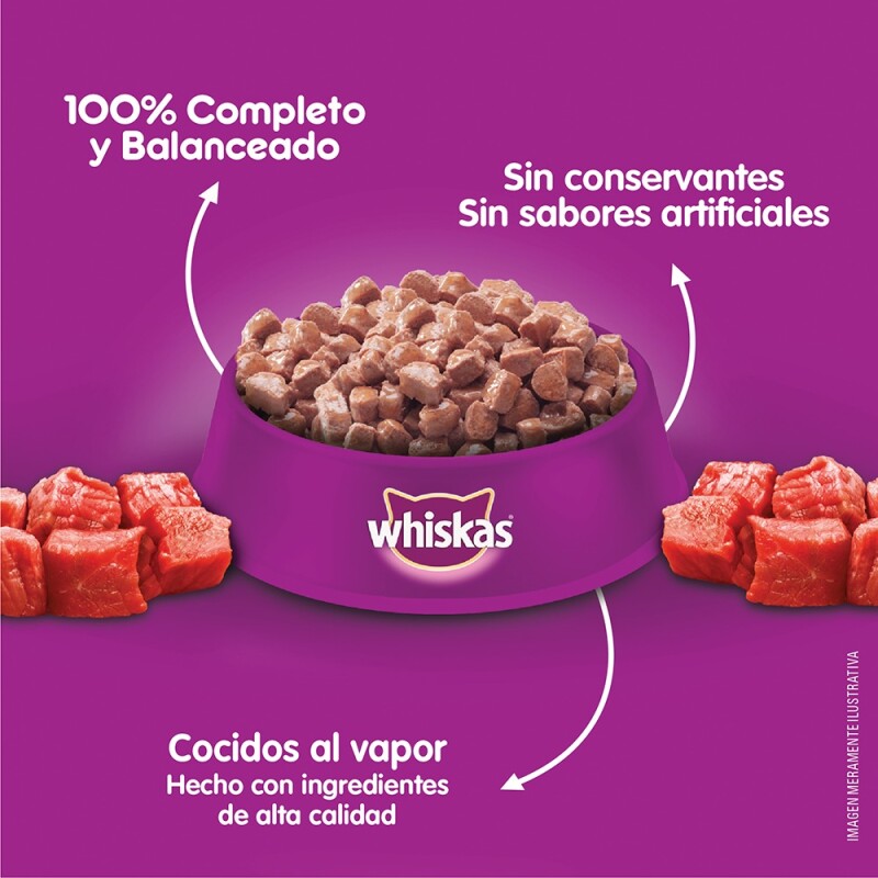 WHISKAS EN SALSA CARNE GATITOS ALIMENTO HUMEDO 85 GRS