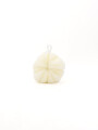 ESPONJA MARINA FIBRAS NATURAL OFF WHITE